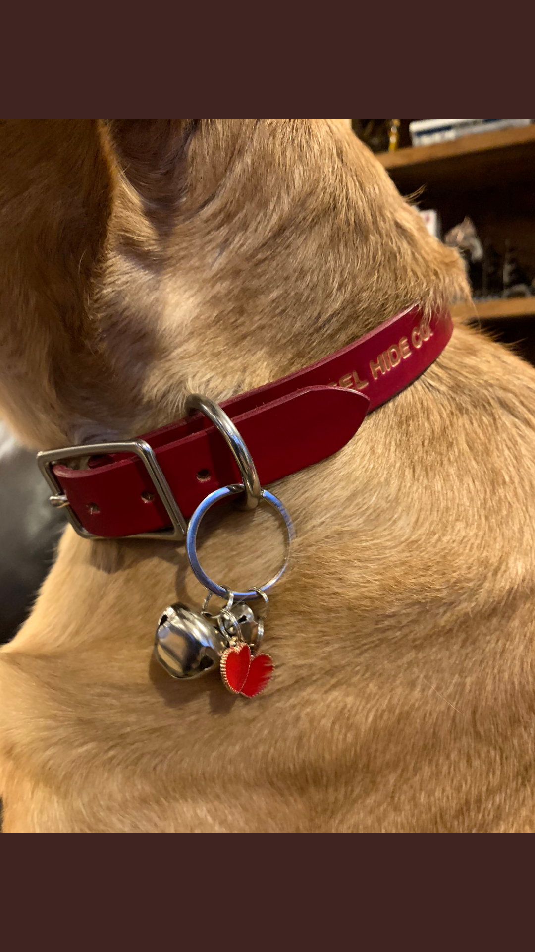 Red Pet Collar
