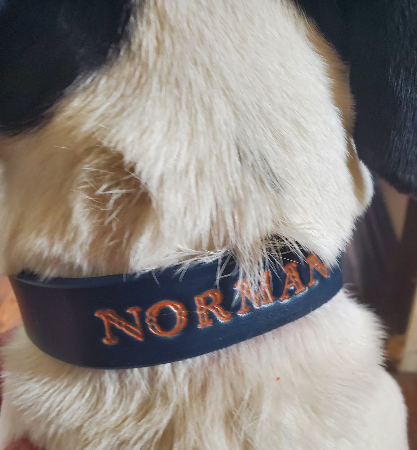 Norman’s Midnight Blue Dog Collar